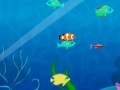 Juego Fish Fun