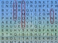 Juego Word Search