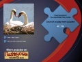 Juego Swans Puzzle