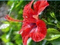 Juego Flowers Jigsaw 