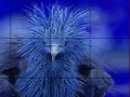 Juego Timid blue bird slide puzzle
