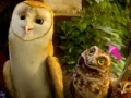 Juego Legend of the Guardians Spot the Difference