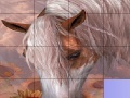 Juego Slide Puzzle: Horse