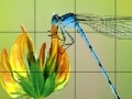 Juego Flower and fly slide puzzle