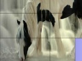 Juego Waterfall and horse slide puzzle