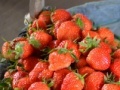 Juego Jigsaw: Strawberry Basket