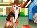 Juego Little Chihuahua Dress Up