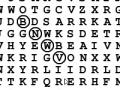 Juego Word Search 38