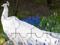 Juego Beautiful peacock puzzle