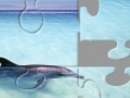 Juego Dolphin
