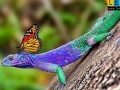 Juego Lizard and butterflies puzzle