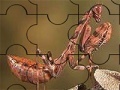 Juego Two grasshopper puzzle