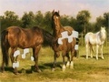 Juego Horses Grazing Jigsaw