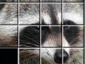 Juego Raccoon Puzzles