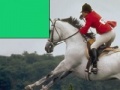 Juego Horse Jumping Jigsaw