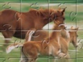 Juego Horse Family Jigsaw Puzzle