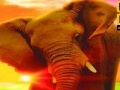 Juego Big Elephant In The Sea: Puzzle