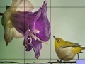 Juego Bird on a wire slide puzzle