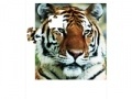 Juego Tiger Puzzle