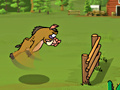 Juego Kaban Racetrack