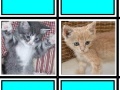 Juego Fuzzy Memory: Kittens
