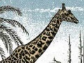Juego Giraffe Jigsaw Puzzle
