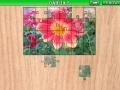 Juego Dahlia 3