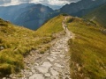Juego On The Trail