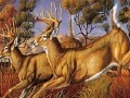 Juego Runner deers slide puzzle