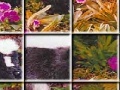 Juego Skunks in the garden puzzle