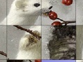 Juego White animal and rosehip slide puzzle
