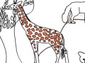 Juego Zoo life coloring