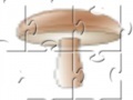 Juego Champignon Jigsaw