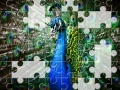 Juego Beautiful Peacock