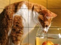 Juego Small fish and cat slide puzzle