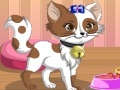 Juego Kitty the cat dress up