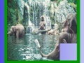 Juego Elephants in the sea slide puzzle