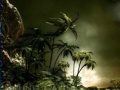 Juego Lost Island 5 Differences 