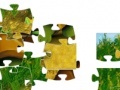 Juego Turtle Tax Chinese