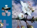 Juego White Flower Jigsaw