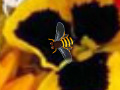 Juego Hidden Bee
