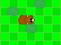 Juego Bear IQ