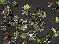 Juego Snake Jigsaw
