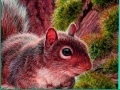 Juego Nuts And Squirrels: Puzzle