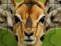 Juego Confused deer puzzle