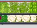 Juego Fresh Vegetables