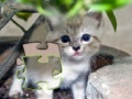 Juego Jigsaw: Happy Kitty
