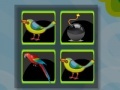 Juego Bomb Memory-Birds