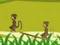 Juego Baboon Duel