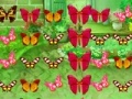 Juego Butterfly Match